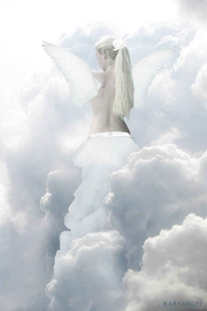 Ángeles de la Vida - Página 2 White_Angel_by_Cirasella