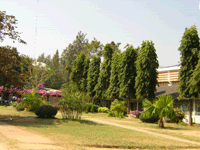 Pix >> Of my School* Ikop