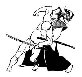 Secrets of The Samurai Kempo4