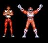 Internation Mugen tournament level 1 RedRanger