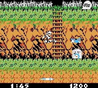 [Recensement]  Ghouls n’ Ghosts n’ Goblins & caetera 1GBC