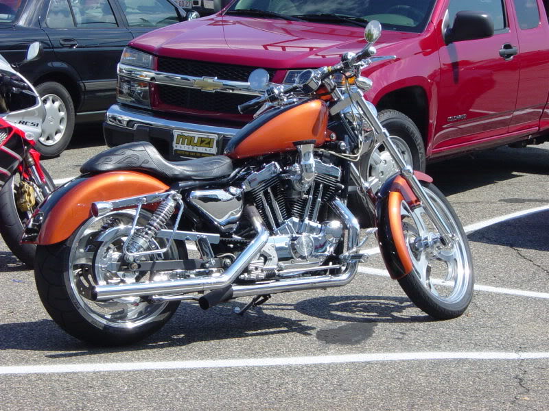 Sportster XXXL DSC03845