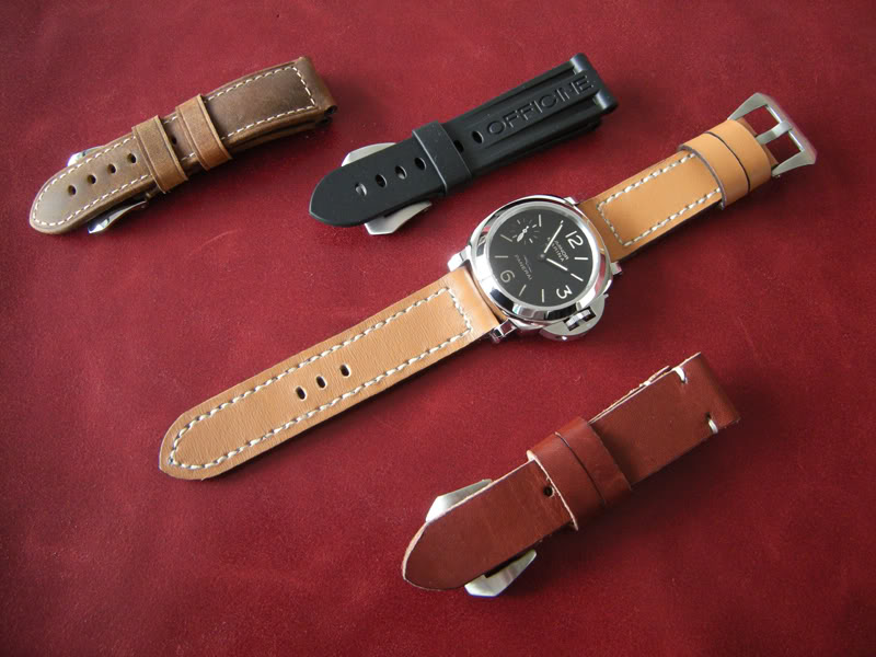 Votre Bilan 2011, vos projets 2012 PAM00414_newstrap03