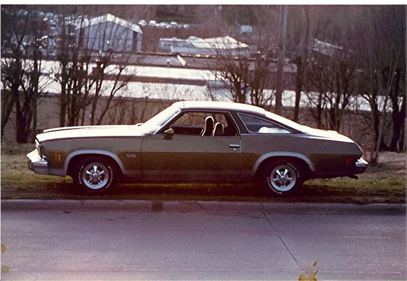 73 SS with chrome side molding Untitled1