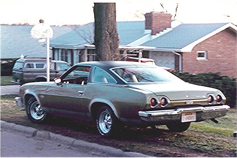 73 SS with chrome side molding Untitled3