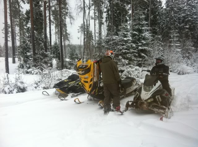 B: Stora snöskotertråden 2011-2012 (lägg upp era finbilder här)  - Sida 2 Rotax