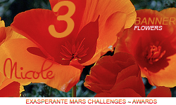 x. Flores [Banner] Award831