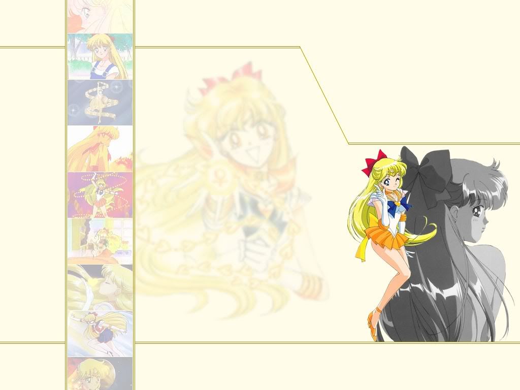 Sailor Moon Duvar Katlar Boyut 1024x768 006-1