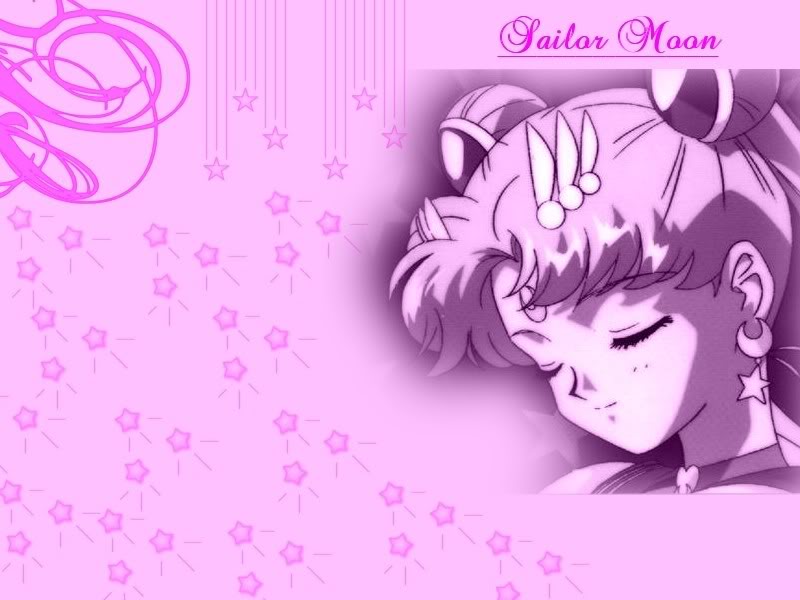 Sailor Moon Duvar Katlar Boyut 1024x768 011-1