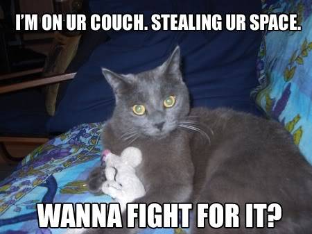 The LOLCAT Super Spam Lolcatsdotcomaqadydzc4z65vzf3