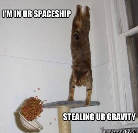 The LOLCAT Super Spam Lolcatsdotcomw594eozv941c48o4