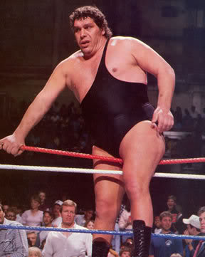 If you could recast the movie AndreTheGiant014