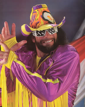 25 Greatest WWE World Champions - The Results! RandySavage002