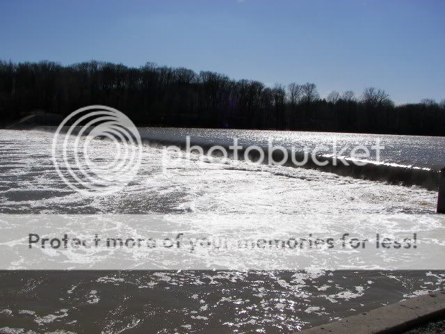 Upated Flood Pictures From The Maumee River and Fishing Spot 010-2