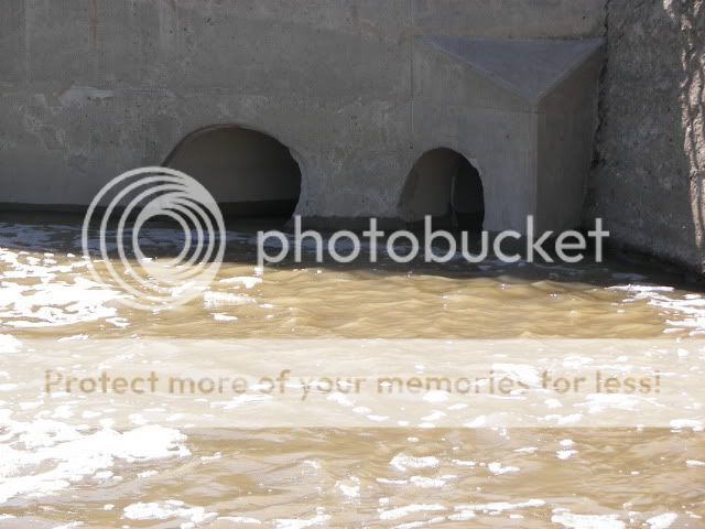 Upated Flood Pictures From The Maumee River and Fishing Spot 012