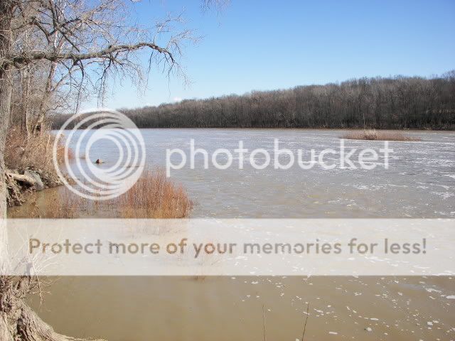 Upated Flood Pictures From The Maumee River and Fishing Spot 015