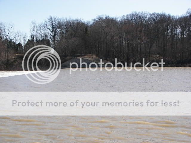 Upated Flood Pictures From The Maumee River and Fishing Spot 020-1