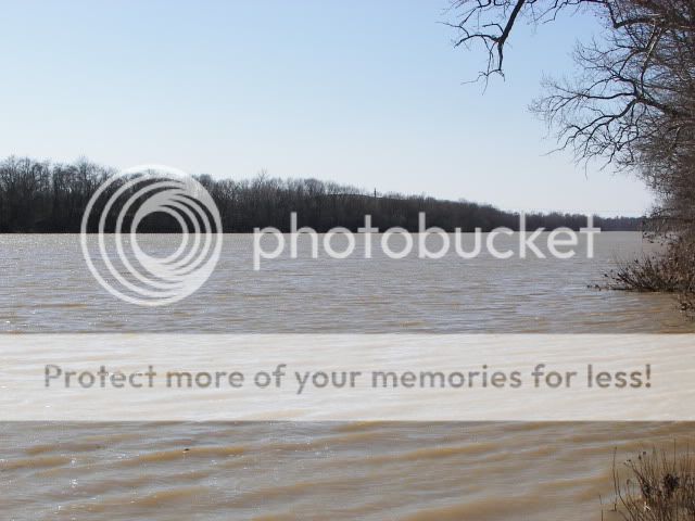 Upated Flood Pictures From The Maumee River and Fishing Spot 021-1