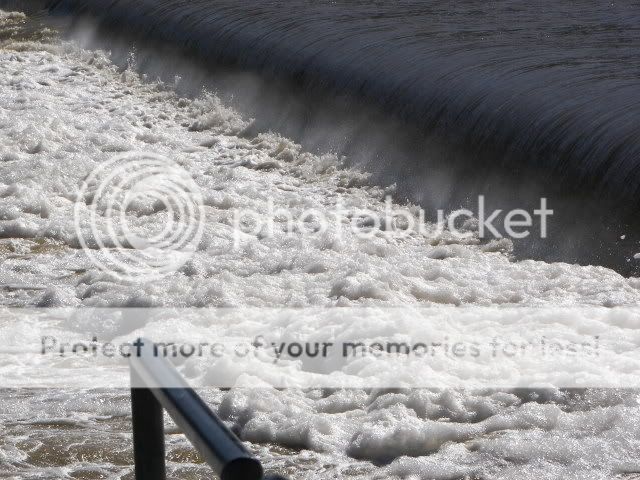 Upated Flood Pictures From The Maumee River and Fishing Spot 023