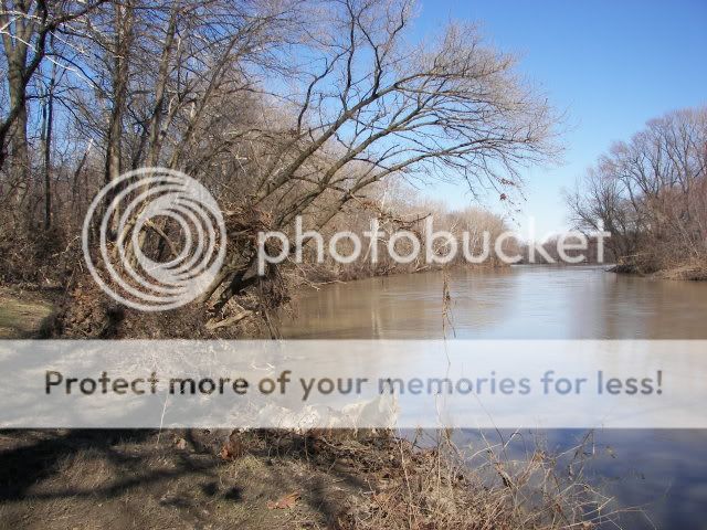 Upated Flood Pictures From The Maumee River and Fishing Spot 027