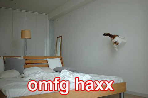 Epic cat thread Cat_haxx