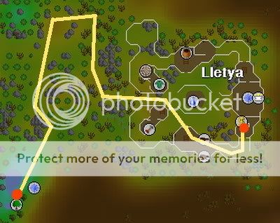 Put ka 99 Woodcutting MagicLletya