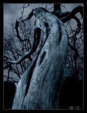   .... The_Dark_Tree_by_x_horizon