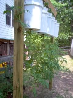 VISECI VRTOVI Upside-down-tomato-garden