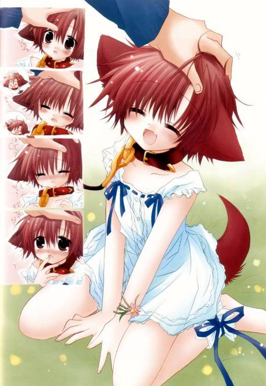 Imagenes Neko nwn 045