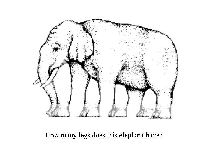 How Many Legs Does The Elephant have? 請問大象有多少腿呢？ HowManyElephantLegsHave