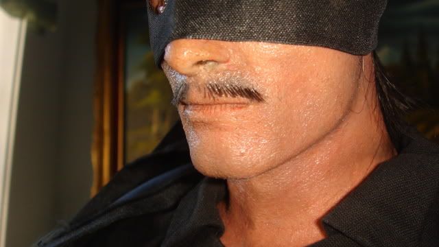 CINEMAQUETTE : ARAGORN TO ZORRO  ZorroCLOSEUP039