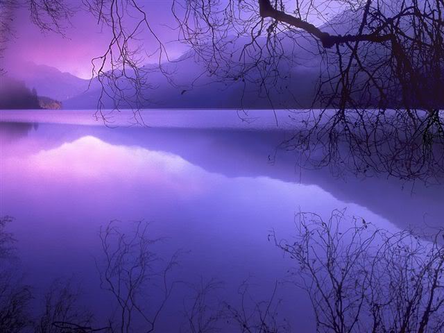 خلفيات جديده لجهاازك بجد هتعجبكم Purple_Haze_over_Lake_Crescent_O-1