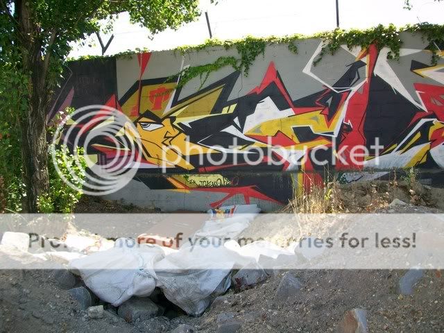 GRAFFITI / STREET ART - Page 12 100_0427