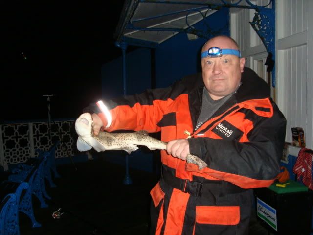 Llandudno Pier..........again ! Pier09-11-12013