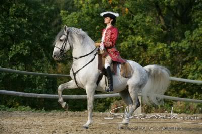 Lusitano LusitanoReiten90752