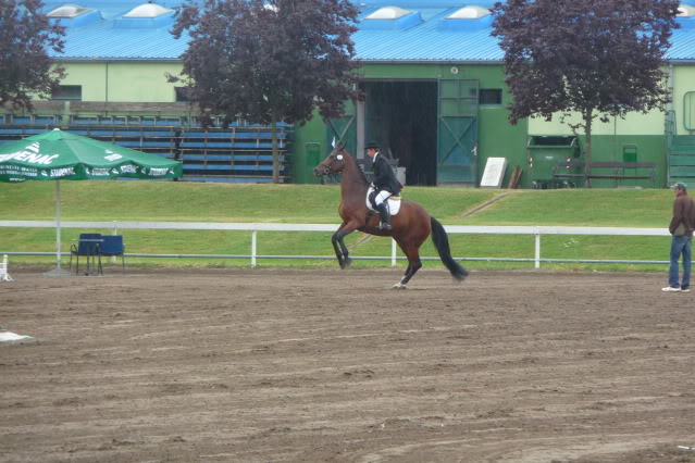 30.05.2009, 2. kolo CC, dresura, Zagreb P1010873