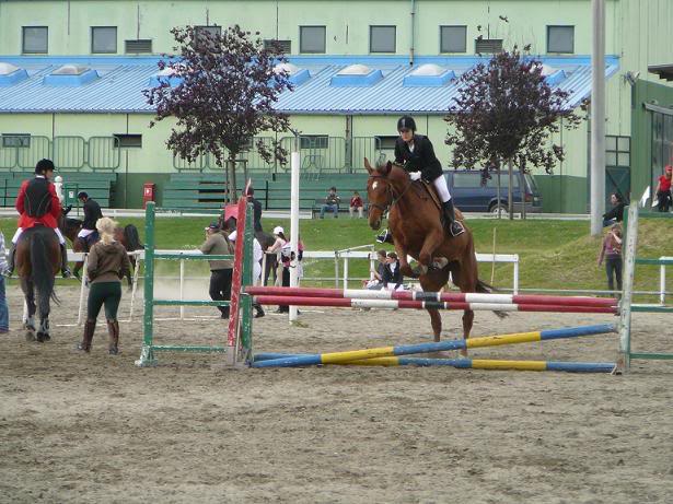 17.05.2008, prepone, Zagreb P1180825