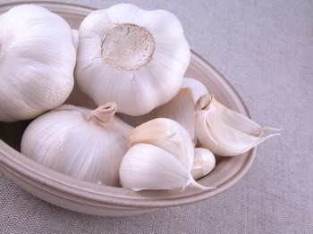 موسوعه عن القطط Garlic0