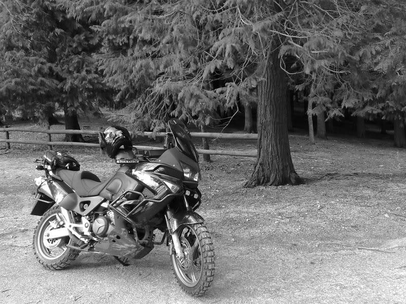 Oscar & Bmw Gs800 17012009916