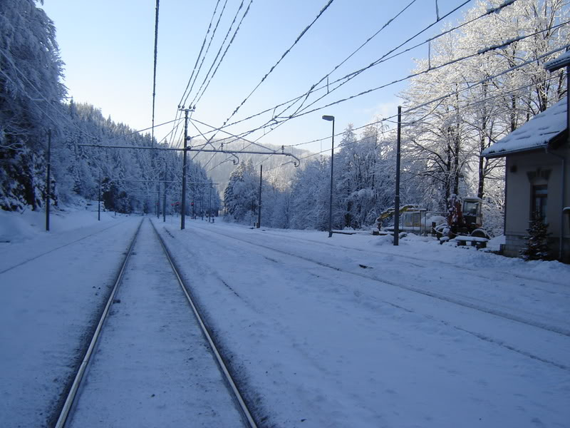 Sedmorica velianstvenih na zimskoj idili DSC01574