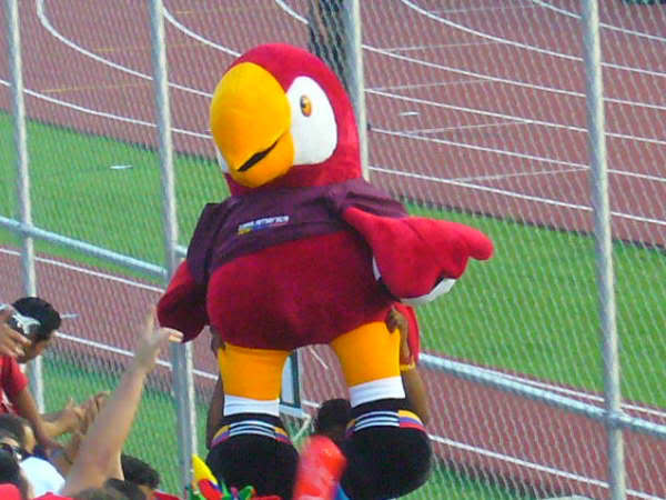 Fotos del Estadio Olmpico UCV - Caracas Ucv22