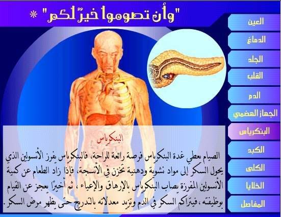 تأثير الصيام على أجزاء الجسم " بالصور " Fasting6