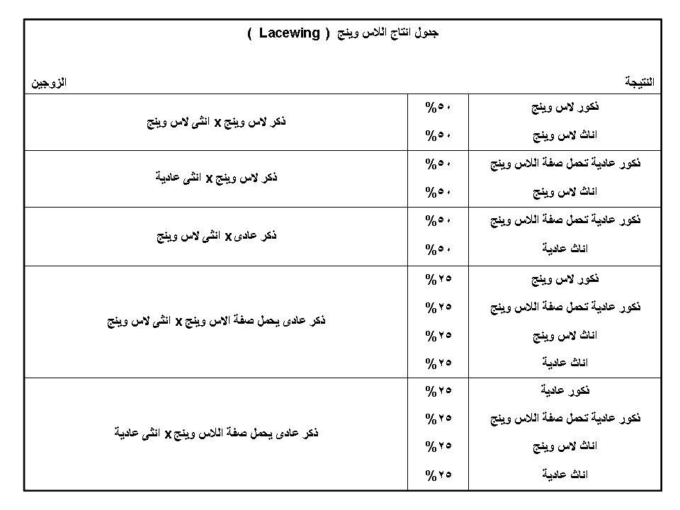 طريقة انتاج اللاس وينج 33-1