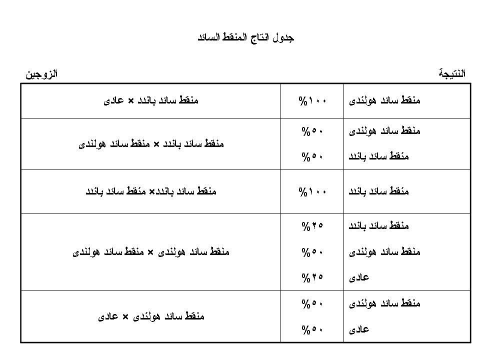 كيفية انتاج المنقط المتنحى والسائد 666