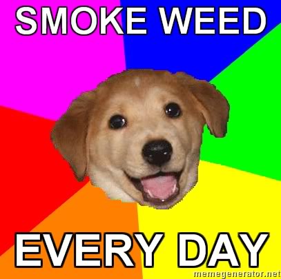 This Post Contains: Weed Advice-Dog-SMOKE-WEED-EVERY-DAY-1