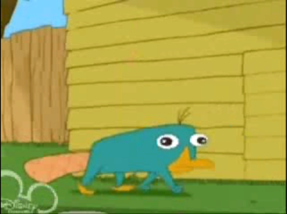 YO AMO A PERRY EL HORNITORRINCO *^^* Ddsadsa