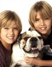 Sprouse Bros's pictures!! - Page 2 M_074a59dedae5f992ff9cf6f6f76e9b17