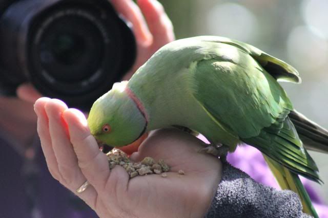 Dierenpark Amersfoort IMG_1649