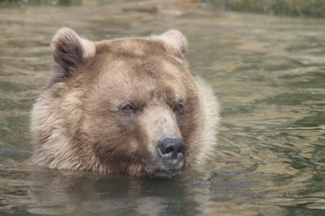 Dierenpark Amersfoort IMG_1680