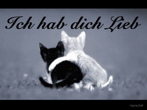 Lästerheard - Seite 2 Babiehface_hab_dich_lieb